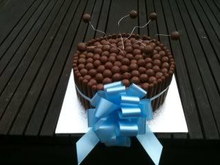 MalteaserCake-SamsBirthdayCake.jpg