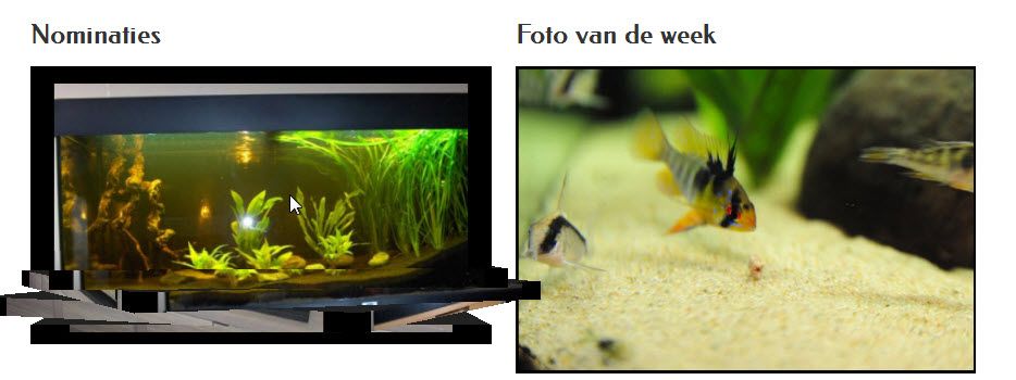 http://i860.photobucket.com/albums/ab162/steba3000/11-02-201317-36-42_zps5864b012.jpg