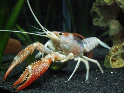http://i860.photobucket.com/albums/ab162/steba3000/Winnende_foto_zpse9ea3fc7.jpg