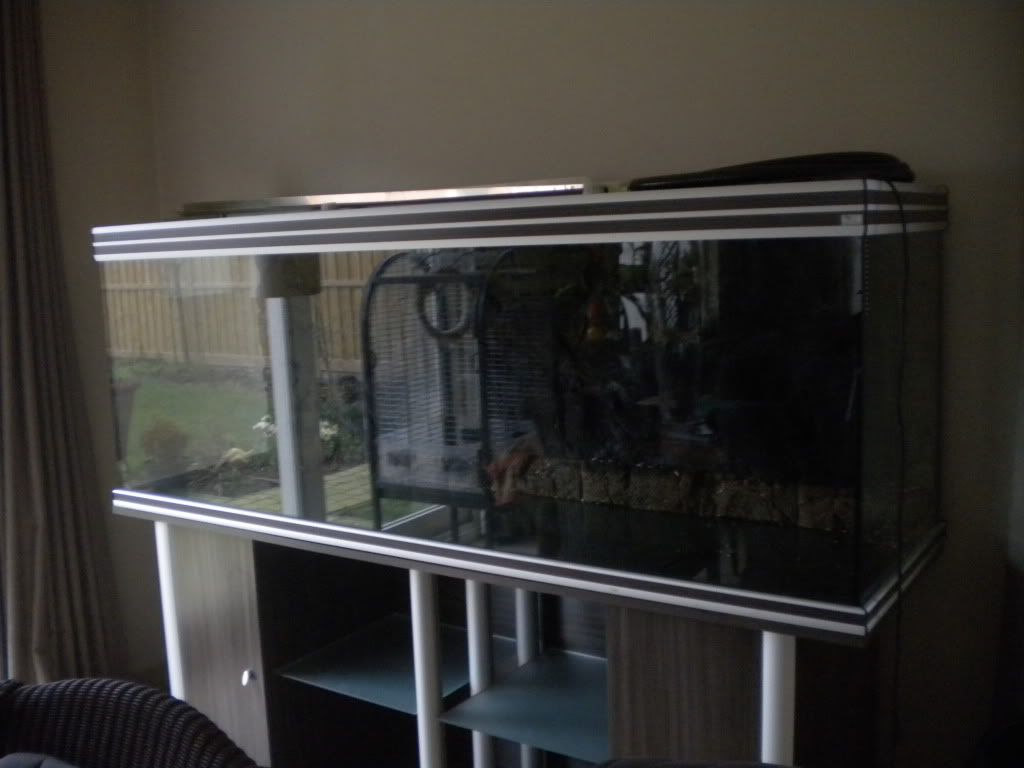 http://i860.photobucket.com/albums/ab162/steba3000/eska/DSCN5546.jpg