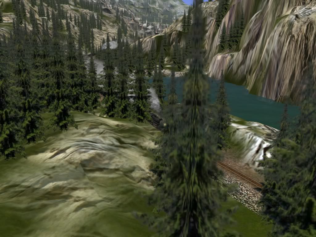 Bobcass_20110315_0012.jpg