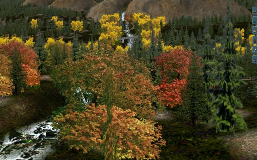 Bobcass_20110817_0002.jpg