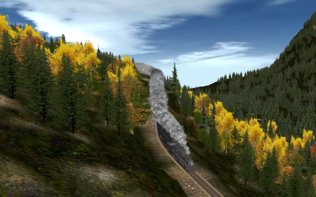 Bobcass_20110825_0045.jpg