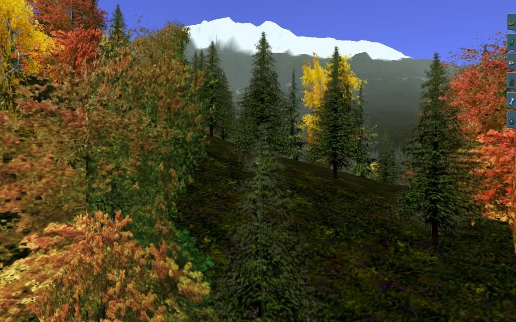 Bobcass_20110910_0014.jpg