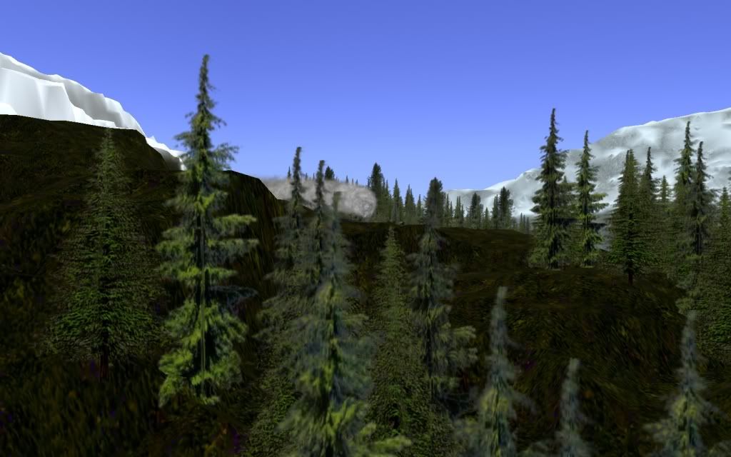 Bobcass_20110923_0061.jpg