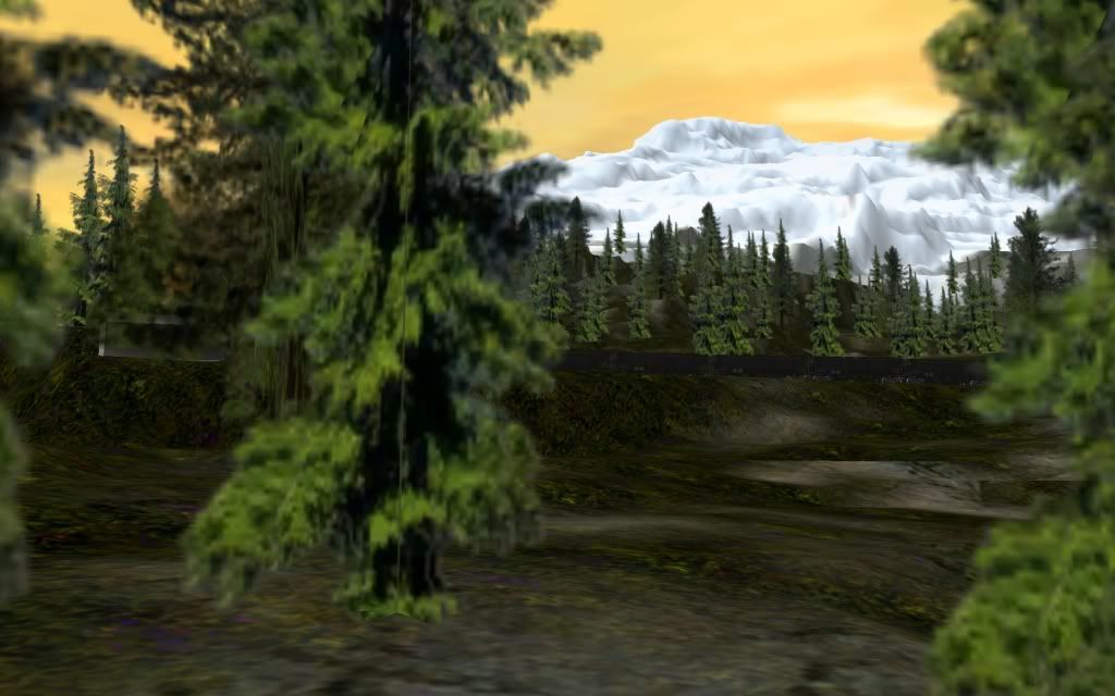 Bobcass_20111207_0041.jpg