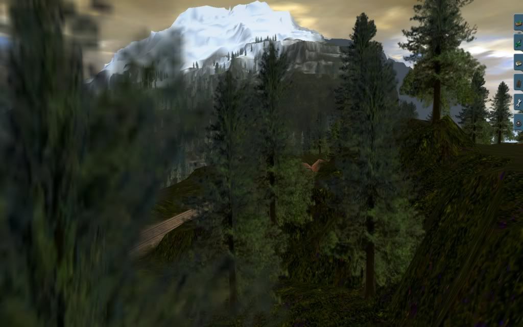 Bobcass_20111210_0015.jpg