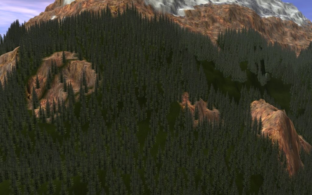 Bobcass_20120818_0006.jpg