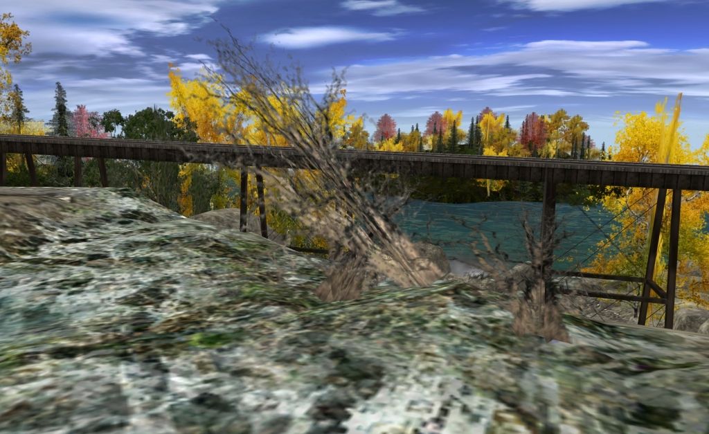 Bobcass_20120930_0010.jpg