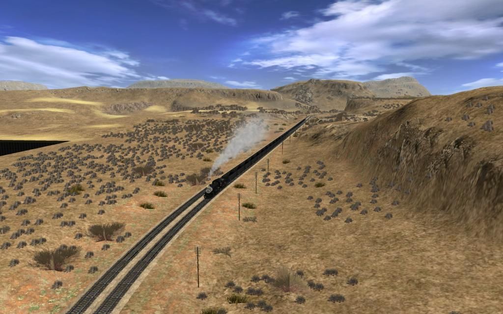 Bobcass_20121114_0022.jpg