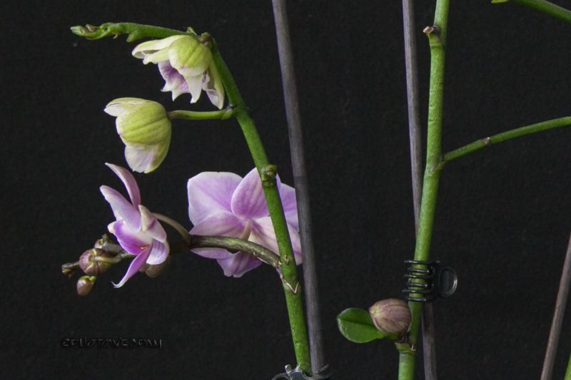 4358_zpsfe298d37.jpg