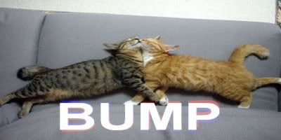 bump.jpg
