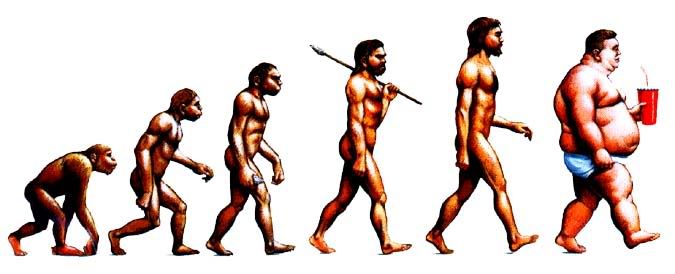 evolution of manjpg evolution of man
