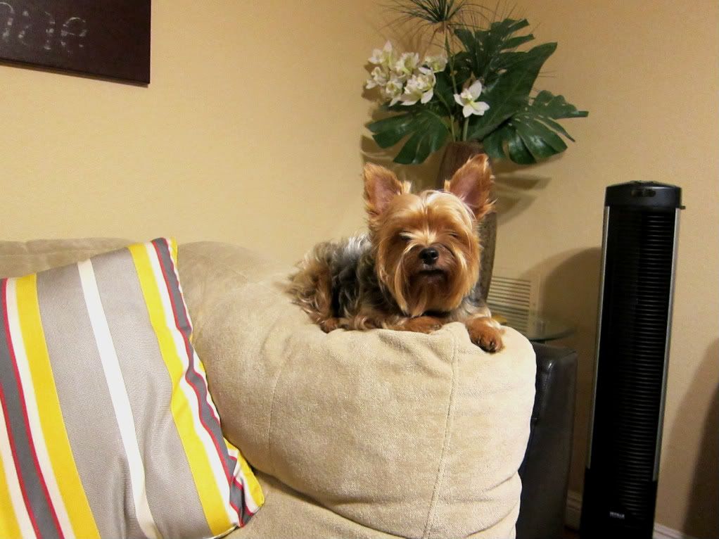 IMAGE: http://i860.photobucket.com/albums/ab164/thunderpants16/S95/no054.jpg