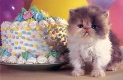 Birthdaycakekitten.jpg