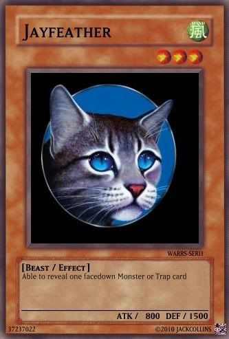 jayfeather.jpg